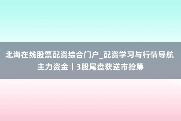 北海在线股票配资综合门户_配资学习与行情导航 主力资金丨3股尾盘获逆市抢筹