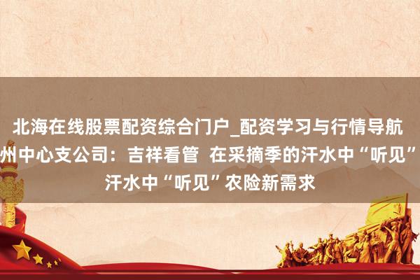 北海在线股票配资综合门户_配资学习与行情导航 吉祥产险泉州中心支公司：吉祥看管  在采摘季的汗水中“听见”农险新需求