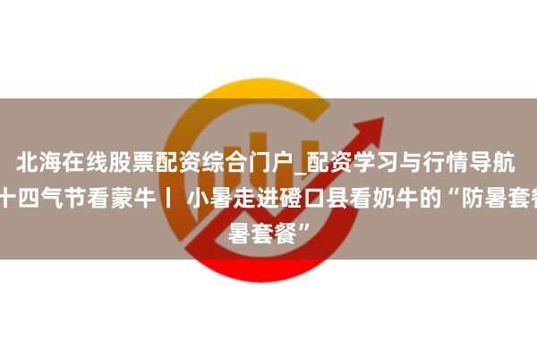 北海在线股票配资综合门户_配资学习与行情导航 二十四气节看蒙牛丨 小暑走进磴口县看奶牛的“防暑套餐”
