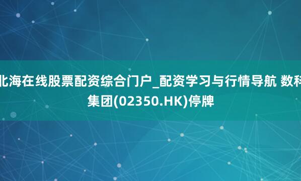 北海在线股票配资综合门户_配资学习与行情导航 数科集团(02350.HK)停牌