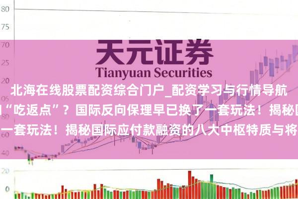 北海在线股票配资综合门户_配资学习与行情导航 还在搞“多级流转”和“吃返点”？国际反向保理早已换了一套玩法！揭秘国际应付款融资的八大中枢特质与将来破局之谈
