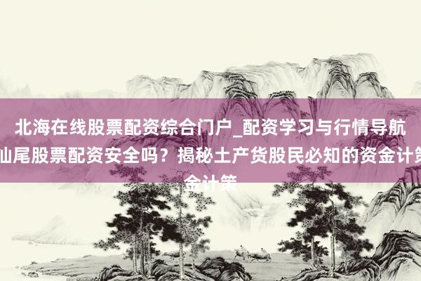 北海在线股票配资综合门户_配资学习与行情导航 汕尾股票配资安全吗？揭秘土产货股民必知的资金计策