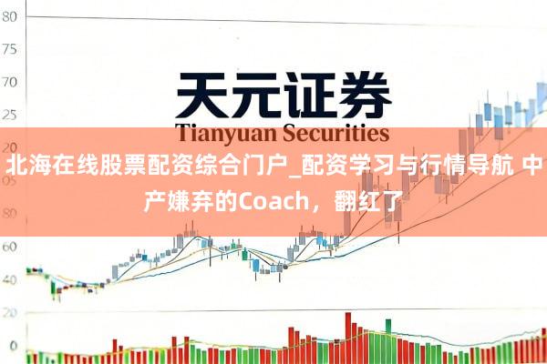 北海在线股票配资综合门户_配资学习与行情导航 中产嫌弃的Coach，翻红了