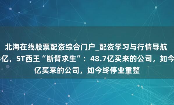 北海在线股票配资综合门户_配资学习与行情导航 四年亏掉23亿，ST西王“断臂求生”：48.7亿买来的公司，如今终停业重整