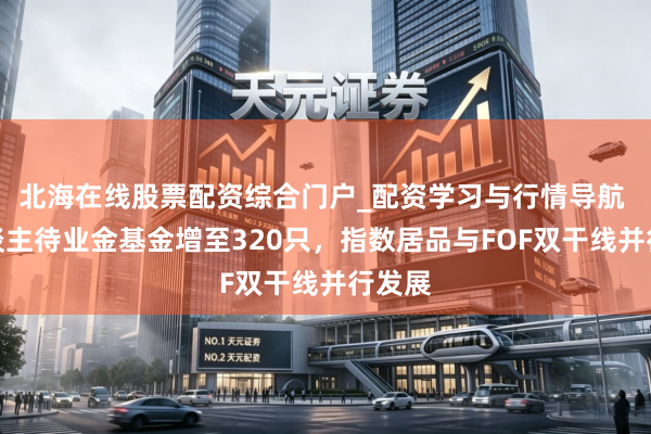 北海在线股票配资综合门户_配资学习与行情导航 个东谈主待业金基金增至320只，指数居品与FOF双干线并行发展